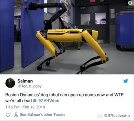 科技 波士顿动力逆天机器人又进化了 机器狗合作开门