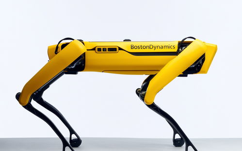 早报 软银洽售波士顿动力予现代 蚂蚁退款到账 索尼启动AI无人机项目